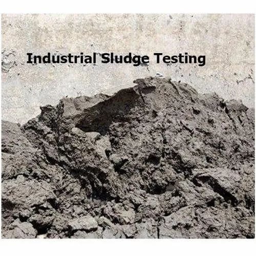 ETP Sludge mud