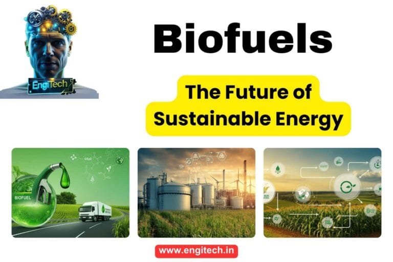 Biofuels: The Future of Sustainable Energy